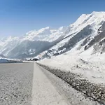 Goldhaenchen * Rauris