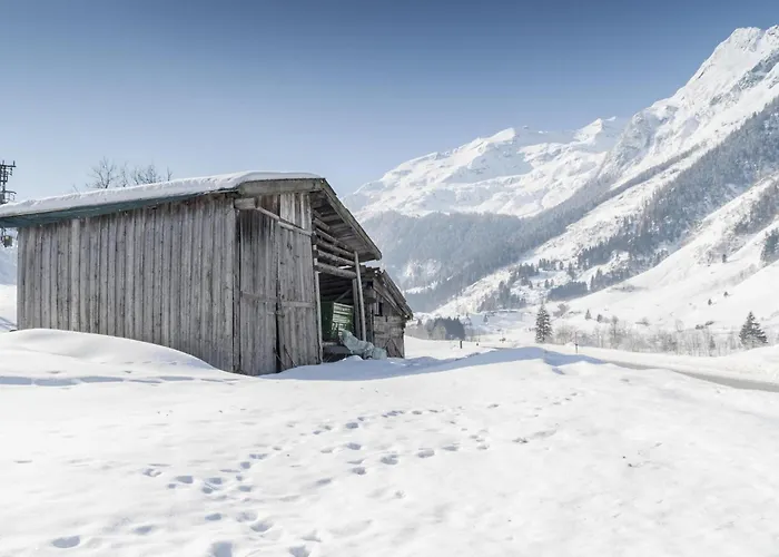 Goldhaenchen Apartment